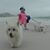 Darrin Hall's profile image