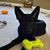 Katie Fischer Bechmann's profile image