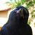 Fiona Wylie Griffeth's profile image