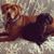 Paula Buzzelle Sudbey's profile image