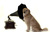 liang x.'s profile image