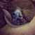 Trena Fournier Garrison's profile image