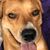 Casey Jasmine Bailey's profile image