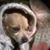 Sarah Wiborg's profile image