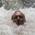 Tom Flett's profile image