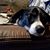 Wendy Roche Hutton's profile image