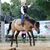 Georganne Johnson Luman's profile image