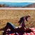 Cindi Cervone Carlson's profile image