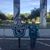 Melodie Cheney's profile image
