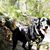 Robyn Buckner Patterson's profile image