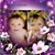 Patricia Hall's profile image