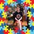 Roger Bowie's profile image