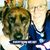 Annie Grogan Hutton's profile image