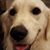 Megan Harrigan's profile image