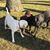 Laura Ward Bellotte's profile image