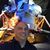 Christopher Giganti's profile image