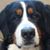 Brenda Sanders's profile image
