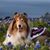 Kay Stambaugh's profile image