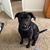 Steven Santee's profile image