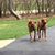 Shana Shattuck's profile image
