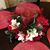 Holly J Kilgore's profile image
