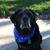 Kriss Barbeau's profile image