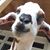 Charlie Brien's profile image