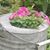 Carol Berteotti's profile image