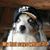 Johnny Wade's profile image