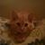 Peggy E Knisley's profile image