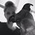 Bree Phillips's profile image