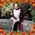 Yolanda Castro's profile image