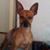 Erick F Martinez's profile image