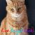 Jenniffer Wickersham's profile image