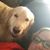Amy Richardson Gallagher's profile image