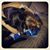 Melissa Kueker's profile image