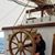 Allyson Elizabeth Swaim's profile image