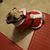 Kathie Loya's profile image