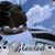 Karen White's profile image