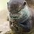 Linda Specht's profile image