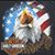 Christopher Downer's profile image