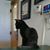 JoAnn Bartos-Messinger's profile image