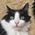 George March's profile image