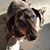 Sherry Lambert Mcdaniels's profile image