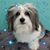 Lyndsey Mignault Thompson's profile image