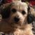 James Arnold's profile image
