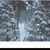 Crystal Madden Woodworth's profile image