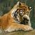 Donna Cousineau's profile image