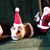 Carolyn Patterson's profile image