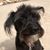 Paulette Curfman's profile image